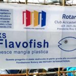 Flavofish Sicily June 2021